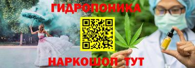 2c-b Краснознаменск