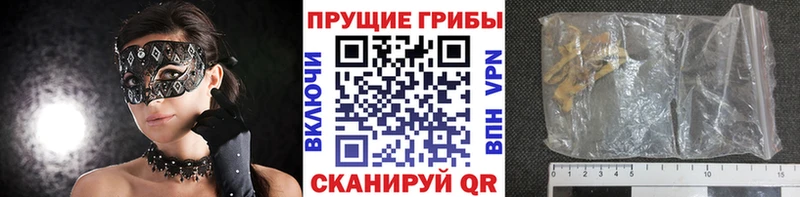 blacksprut ТОР  Мончегорск  маркетплейс клад  Псилоцибиновые грибы Magic Shrooms 